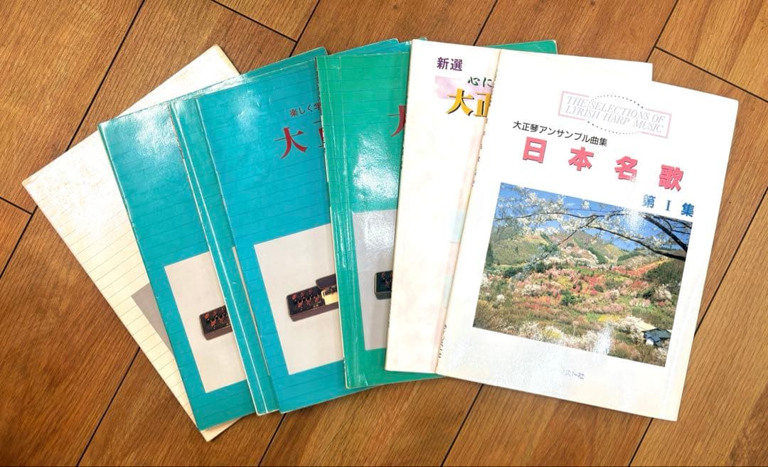 ライリッシュ 大正琴 LPS50 和楽器 専用ソフトケース 楽譜付き