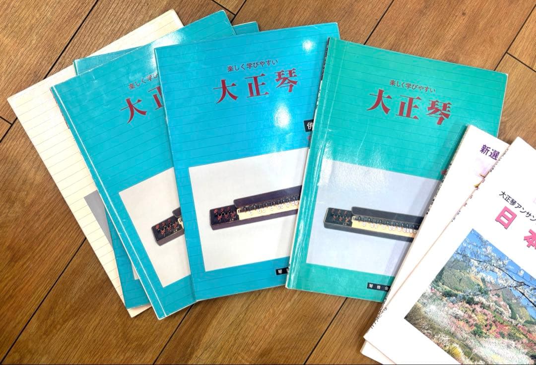 ライリッシュ 大正琴 LPS50 和楽器 専用ソフトケース 楽譜付き