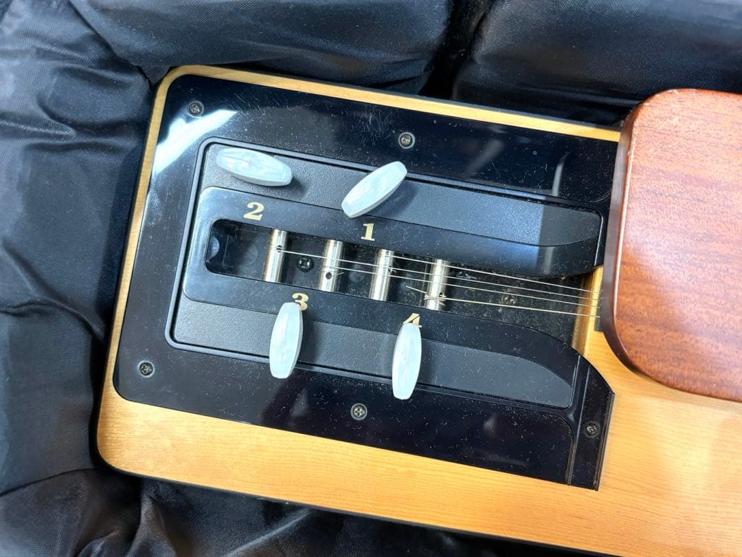 ライリッシュ 大正琴 LPS50 和楽器 専用ソフトケース 楽譜付き