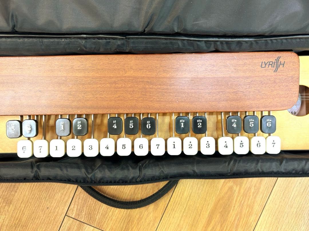 ライリッシュ 大正琴 LPS50 和楽器 専用ソフトケース 楽譜付き