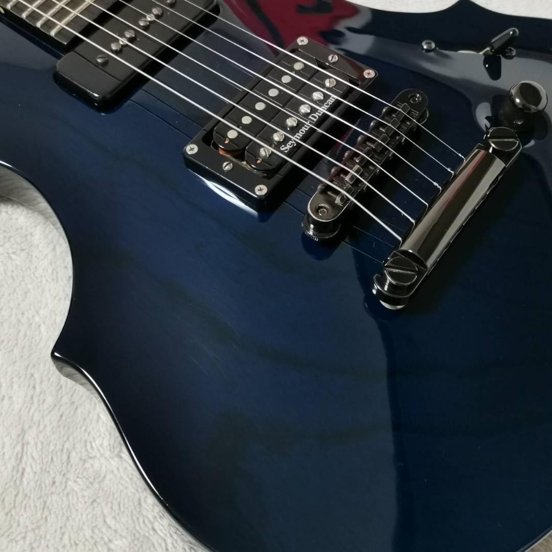 ESP　カスタムオーダーギター　フォレスト　FRX　FOREST