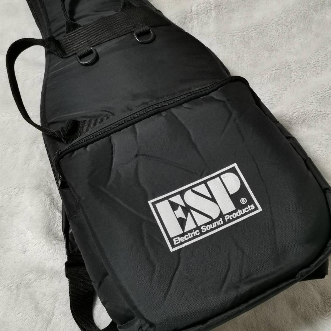 ESP　カスタムオーダーギター　フォレスト　FRX　FOREST