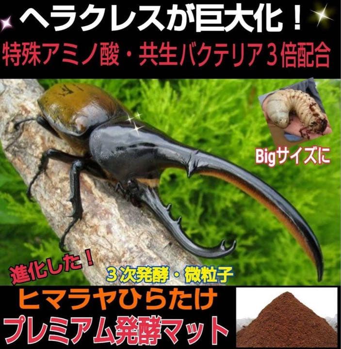 極上！プレミアム発酵カブトムシマット【50L】特殊アミノ酸強化配合！産卵にも抜群