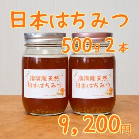 指宿産 日本蜜蜂 百花蜜500g×2