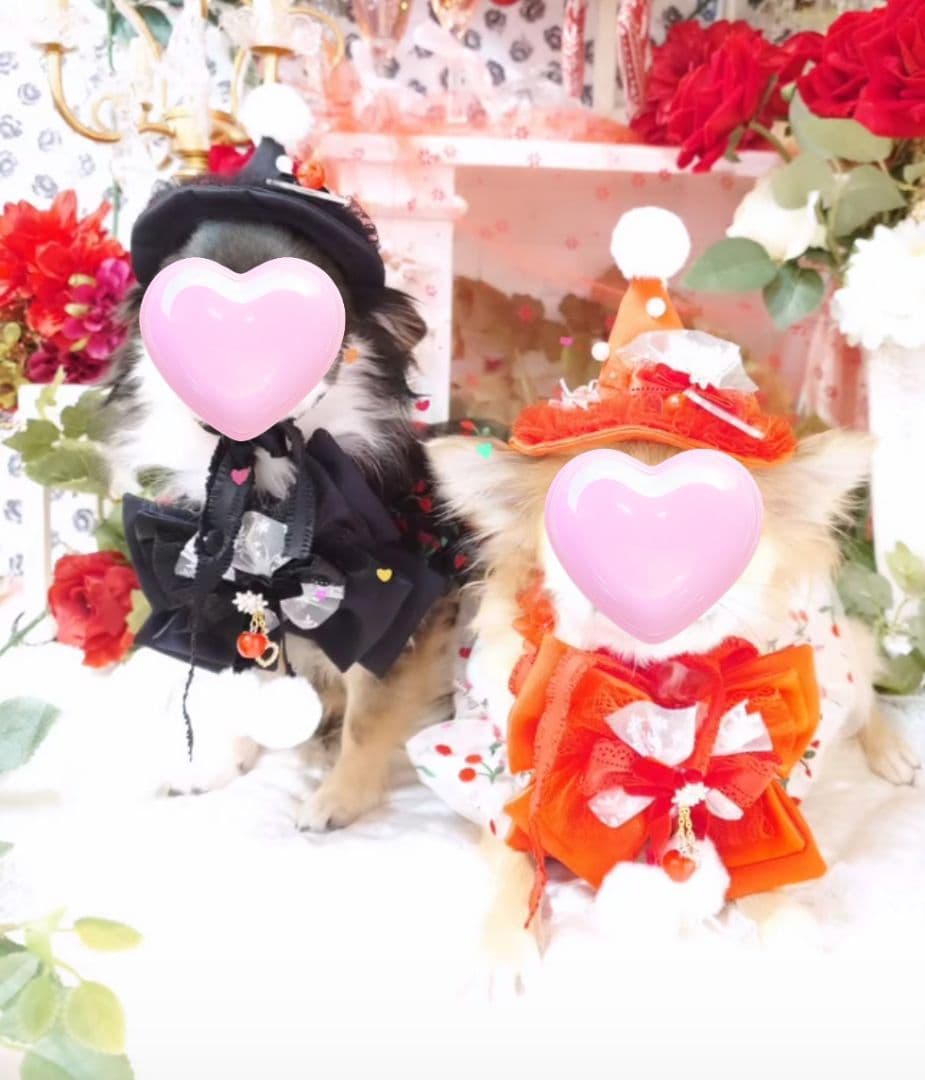 エトワール クリスマスハット＆スタイセット ブラック