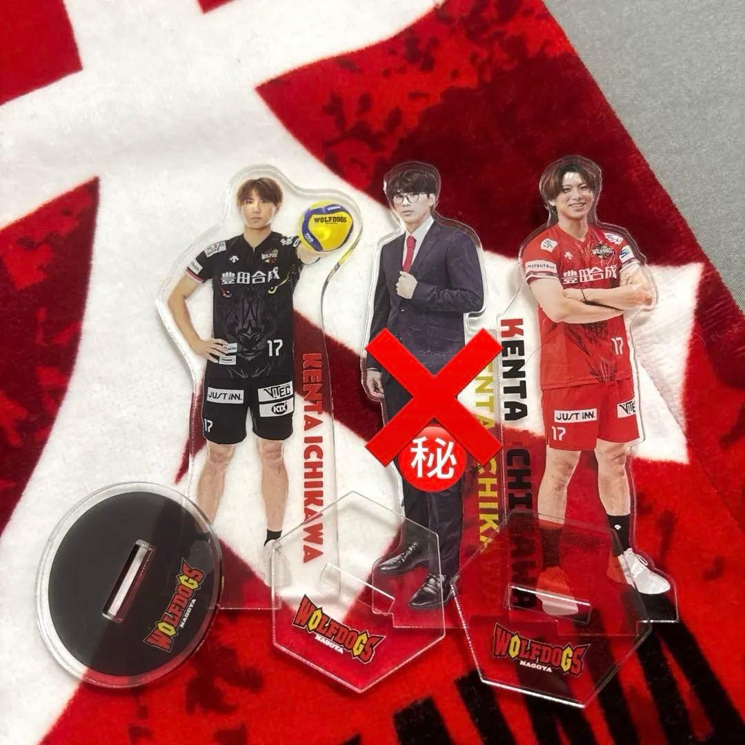 ウルフドッグス名古屋 市川健太 選手 アクスタ タオル ４点セット