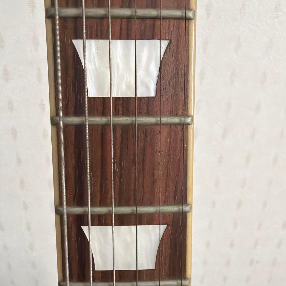 エレキギター☆Kaalena(カーレナ)