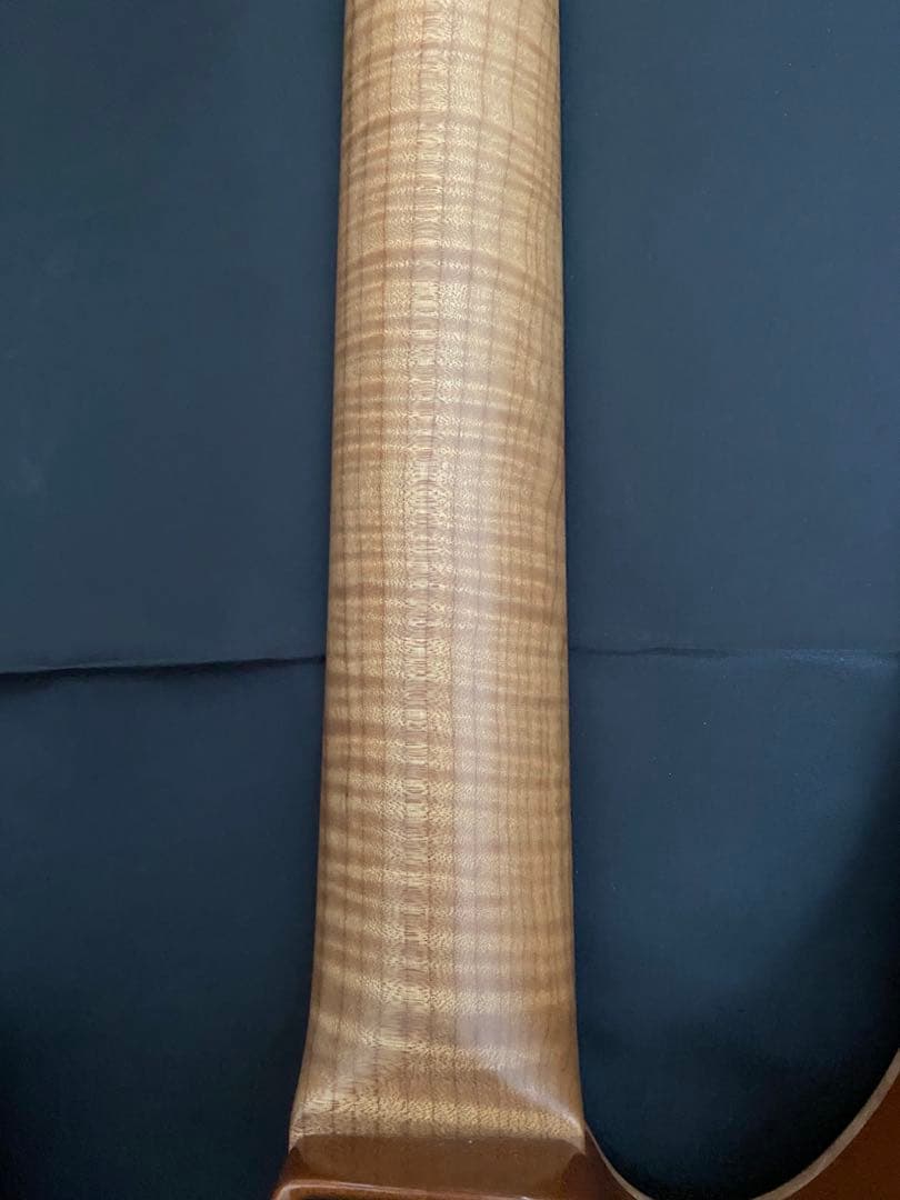 【極美品】T's Guitars DST-Pro24 ～Legend Blue～