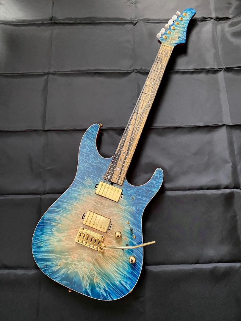 【極美品】T's Guitars DST-Pro24 ～Legend Blue～