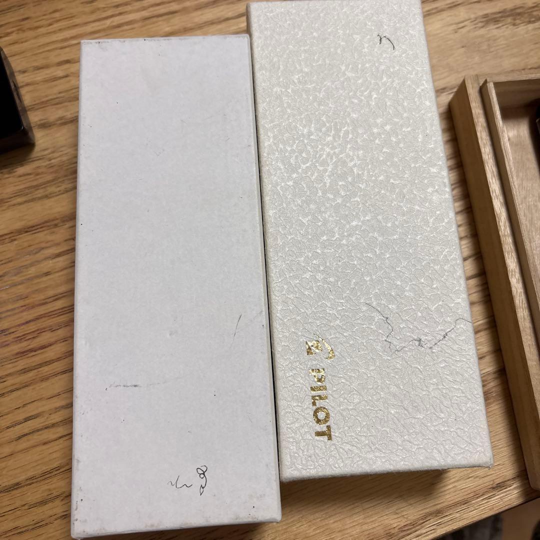 PILOT 万年筆 黒 手のデザイン