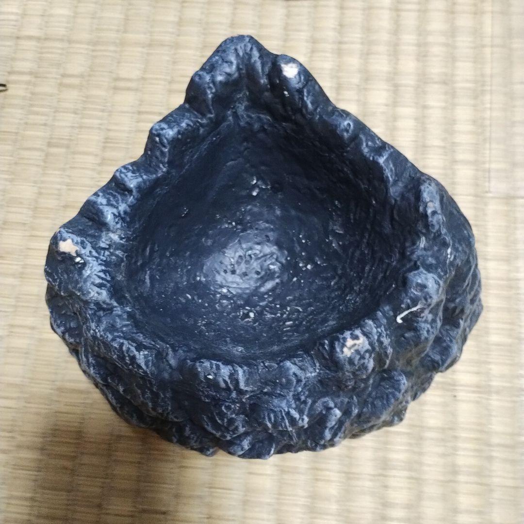 中型アクアテラリウム グラステラリウムヒーター スポットライト