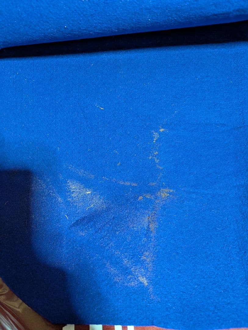 ダノンベルーガ【皐月賞実使用ゼッケン】