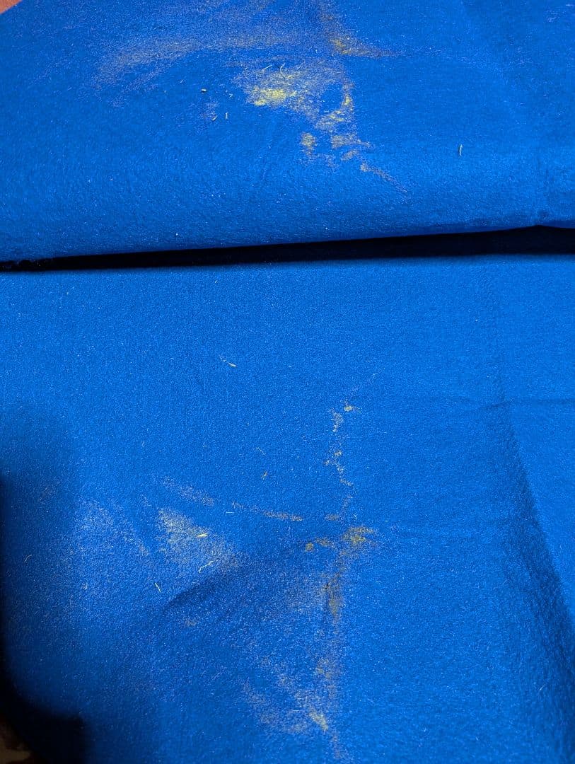 ダノンベルーガ【皐月賞実使用ゼッケン】