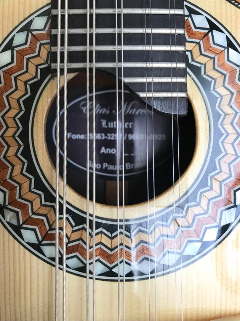 10弦バンドリン(マンドリン)