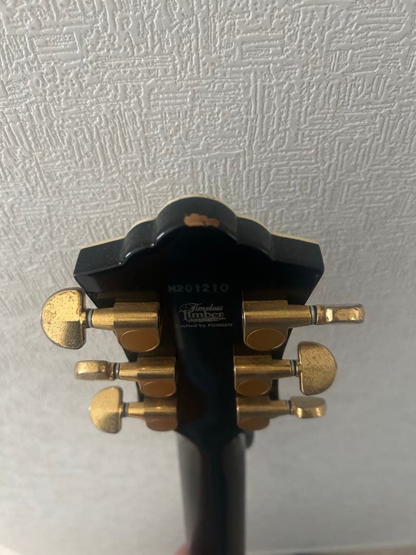 【FgN】フジゲン BAT-20CT/TTハードケース付き