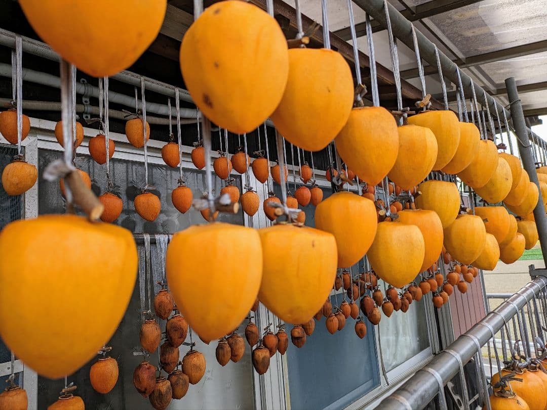 愛媛県産♥干し柿（愛宕柿）