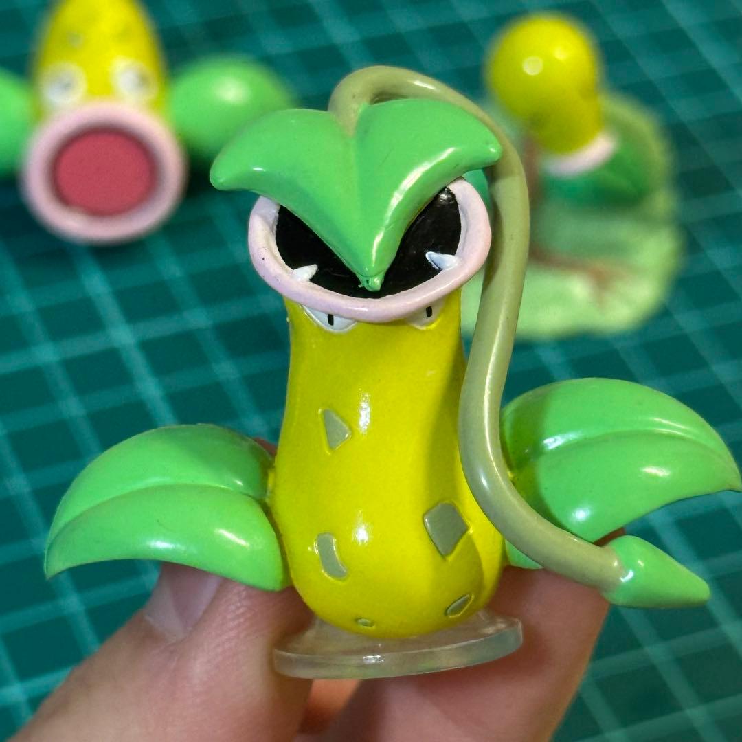 ポケットモンスター　ポケモン　モンコレ　初期　マダツボミ　ウツドン　ウツボット