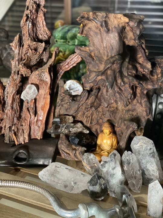 龍神流木とお釈迦様