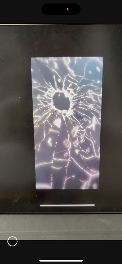 ワルキューレボルト　新品未開封