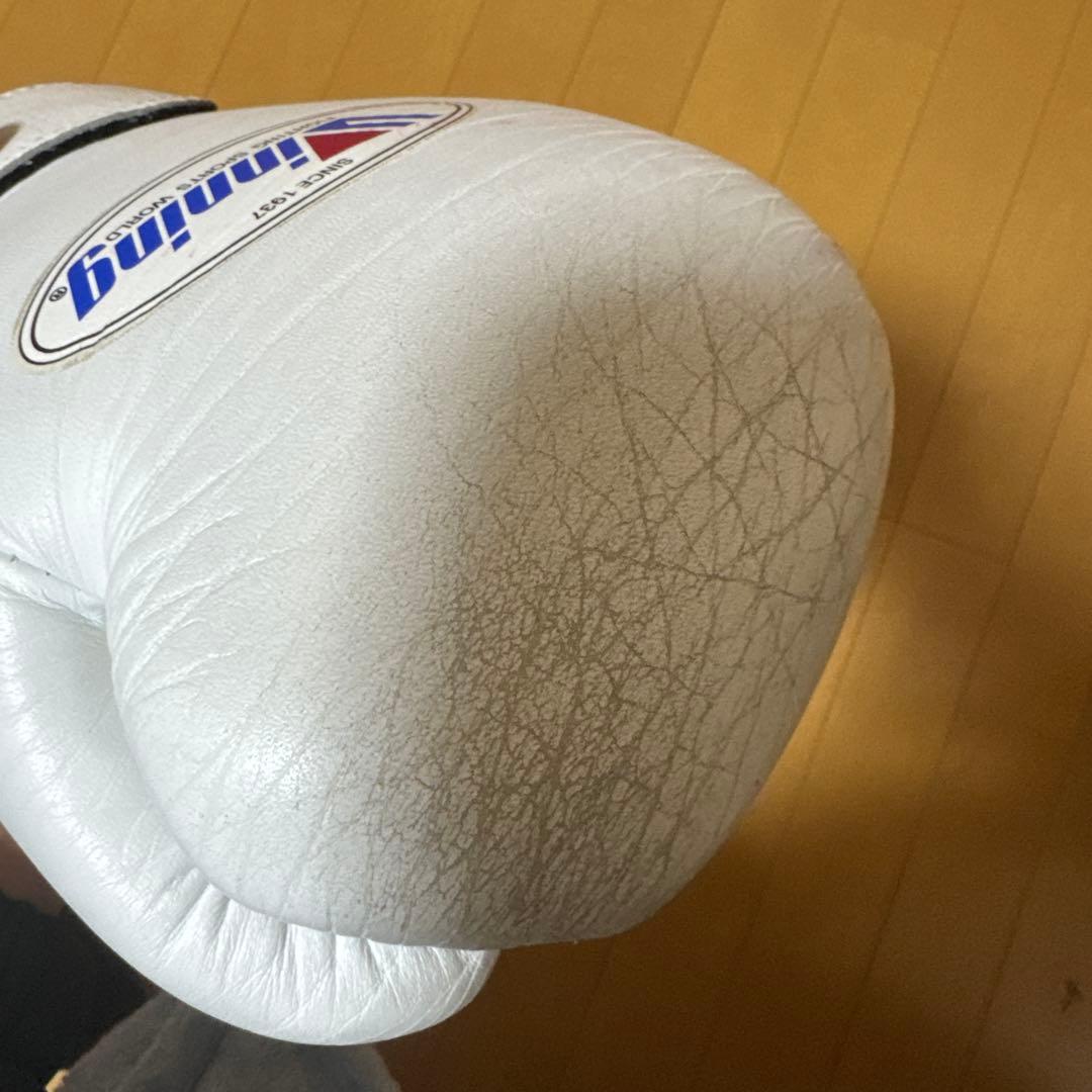 Winning ボクシンググローブ 8オンス プラスお手入れセット