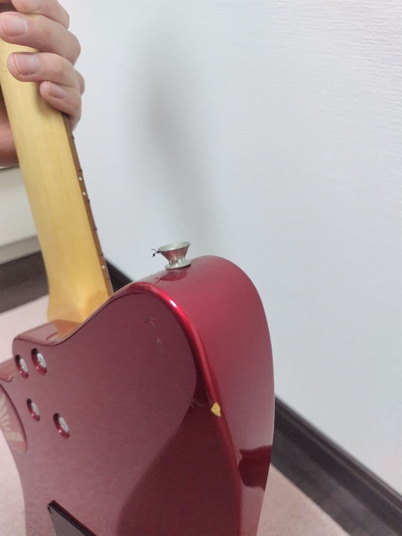 Burny H-65 シャチ hide クジラ Fernandes Duncan