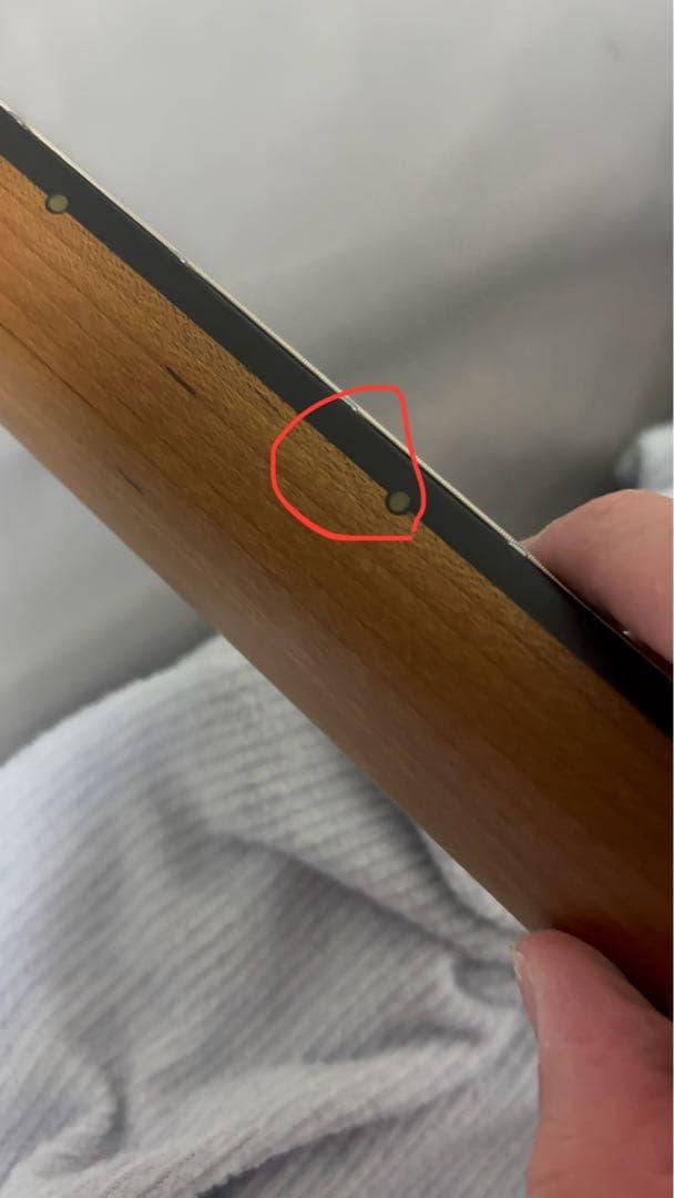 R*D様 Ibanez TOD10MM Timhenson signature