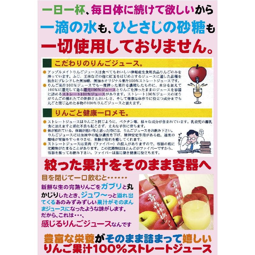 果汁100%アップルメイトりんごジュース1000ml紙パック6本入2箱/計12本