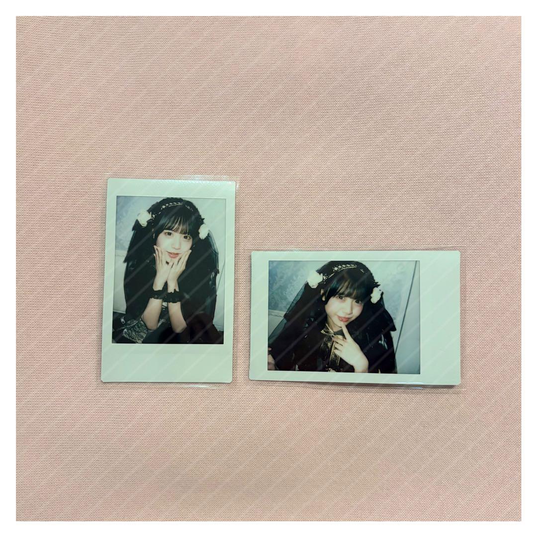 iLiFE! 福丸うさ ランチェキまとめ売り