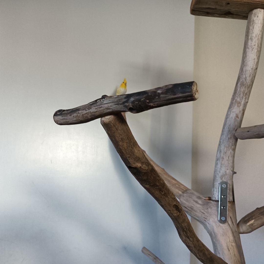 バードアスレチックジム 大型 ⑪ 天然木 自然木 流木 インコ おもちゃ