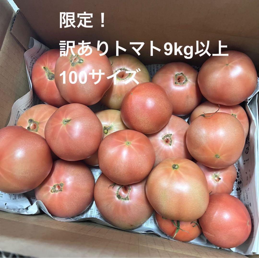 マリーちゃんです！3日出荷予定‼️訳ありトマト9キロ以上