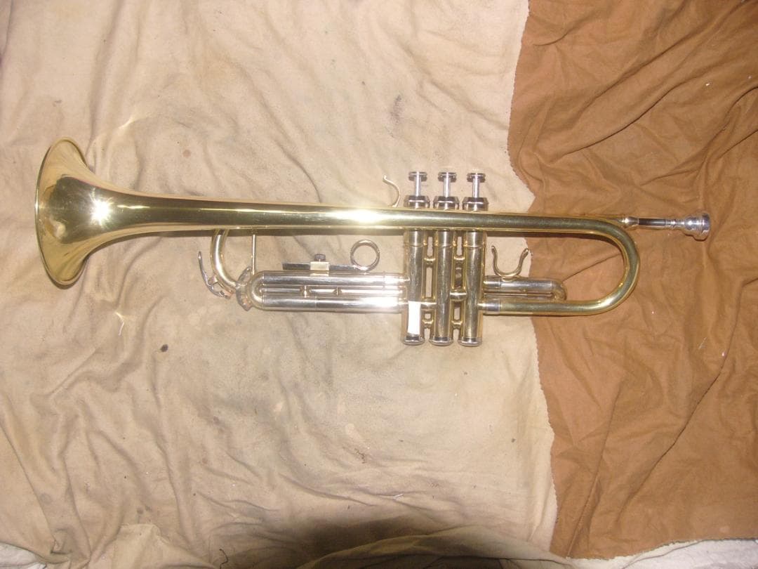 幻の銘器種！！/リチャードRichard（バックスタイルモデル）生産終了品