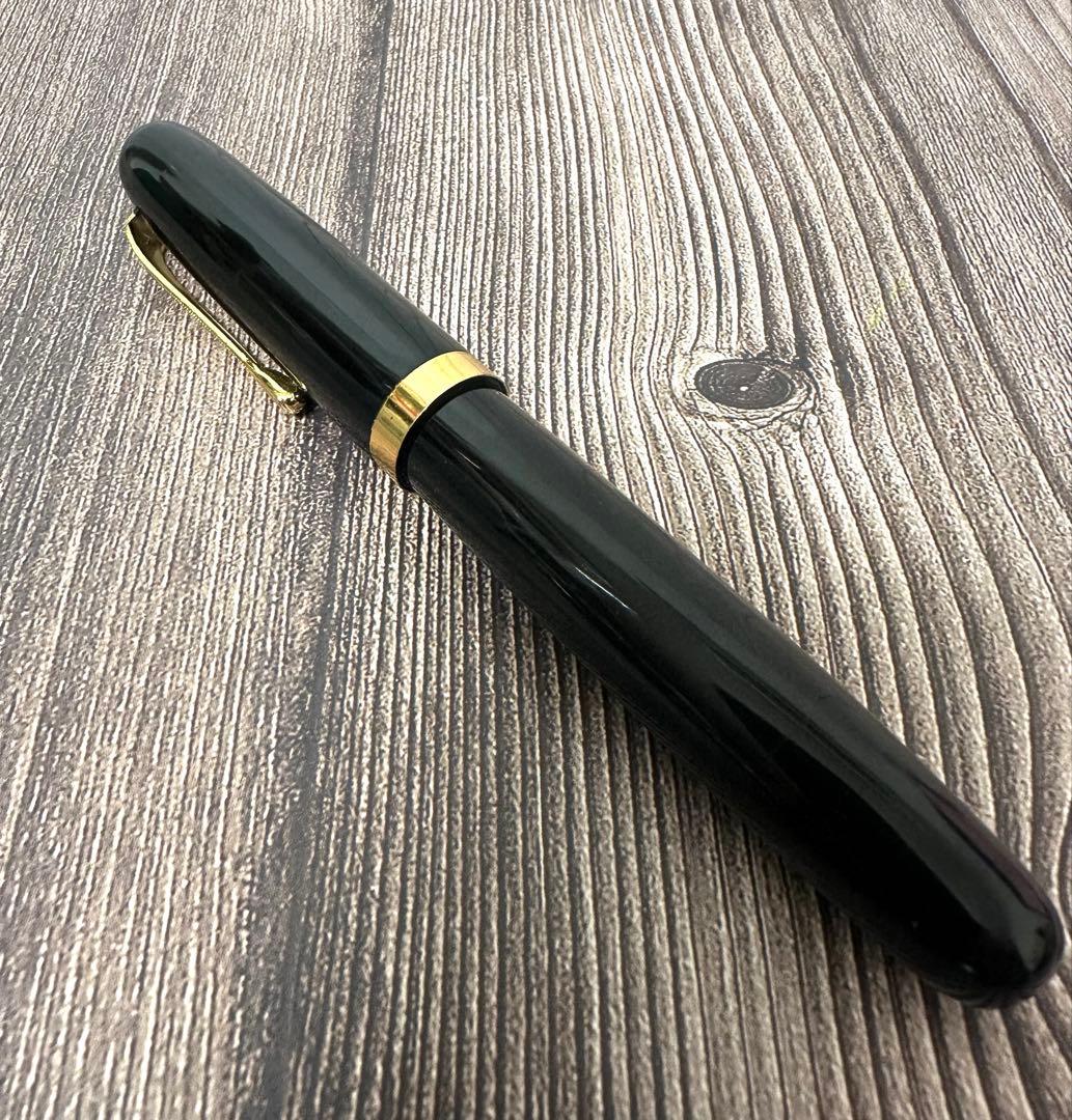 WARRANTED ワランテッド イリドスミン 万年筆 14K