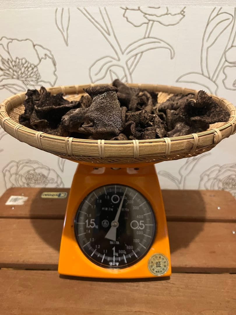 岩手県産 乾燥 香茸 100g 2025年採取 ②