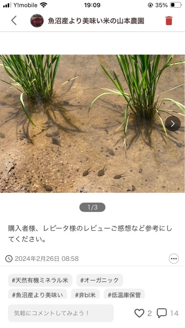 2025年産ゆうだい21 玄米20kg