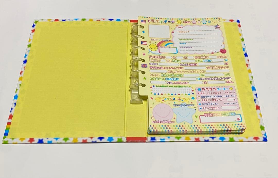 ★美品！激レア！希少！平成レトロ！当時物！プロフィール帳 レインボーニコちゃん★