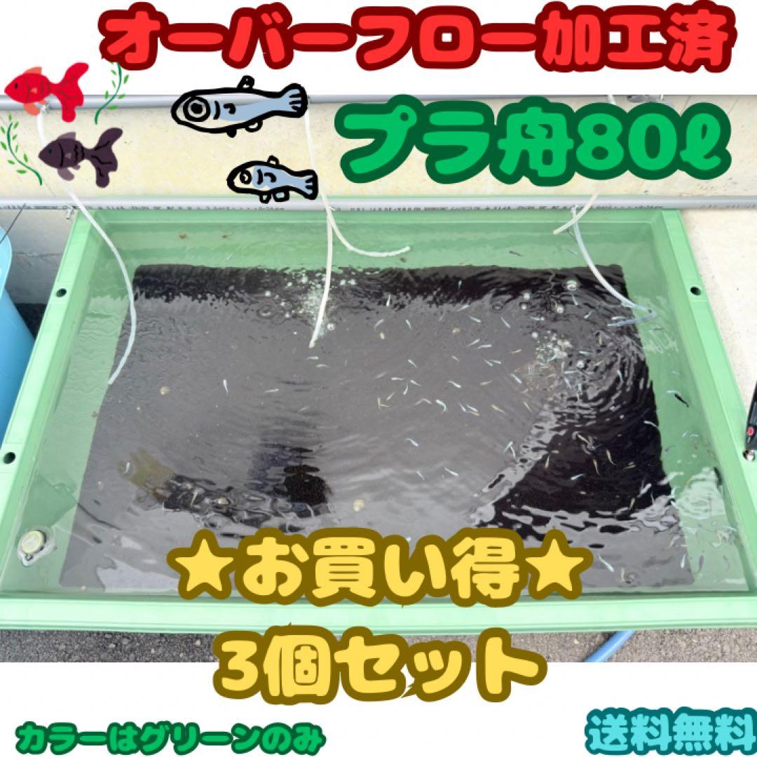 メダカ容器オーバーフロー加工トロ舟80L 3個セットプラ舟 NVボックス メダカ