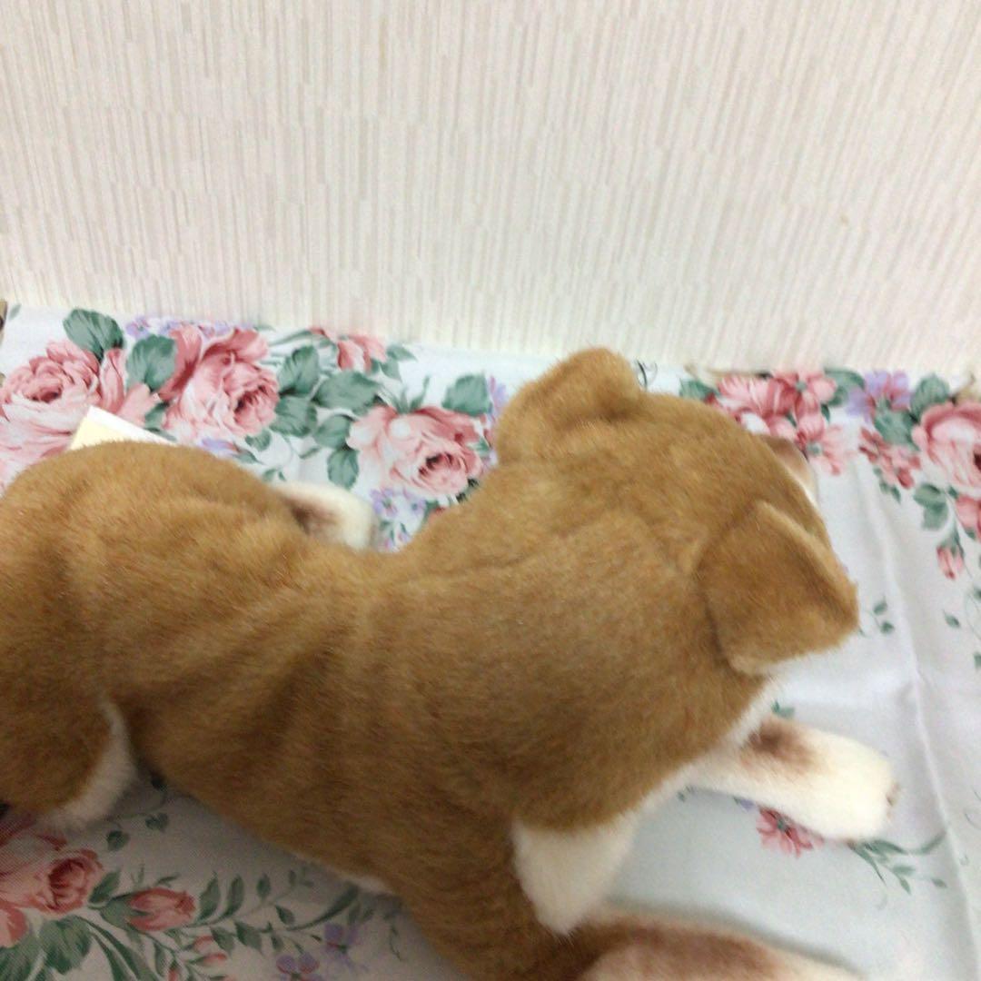 ケーセン　柴犬　伏せ　ぬいぐるみ KOSEN