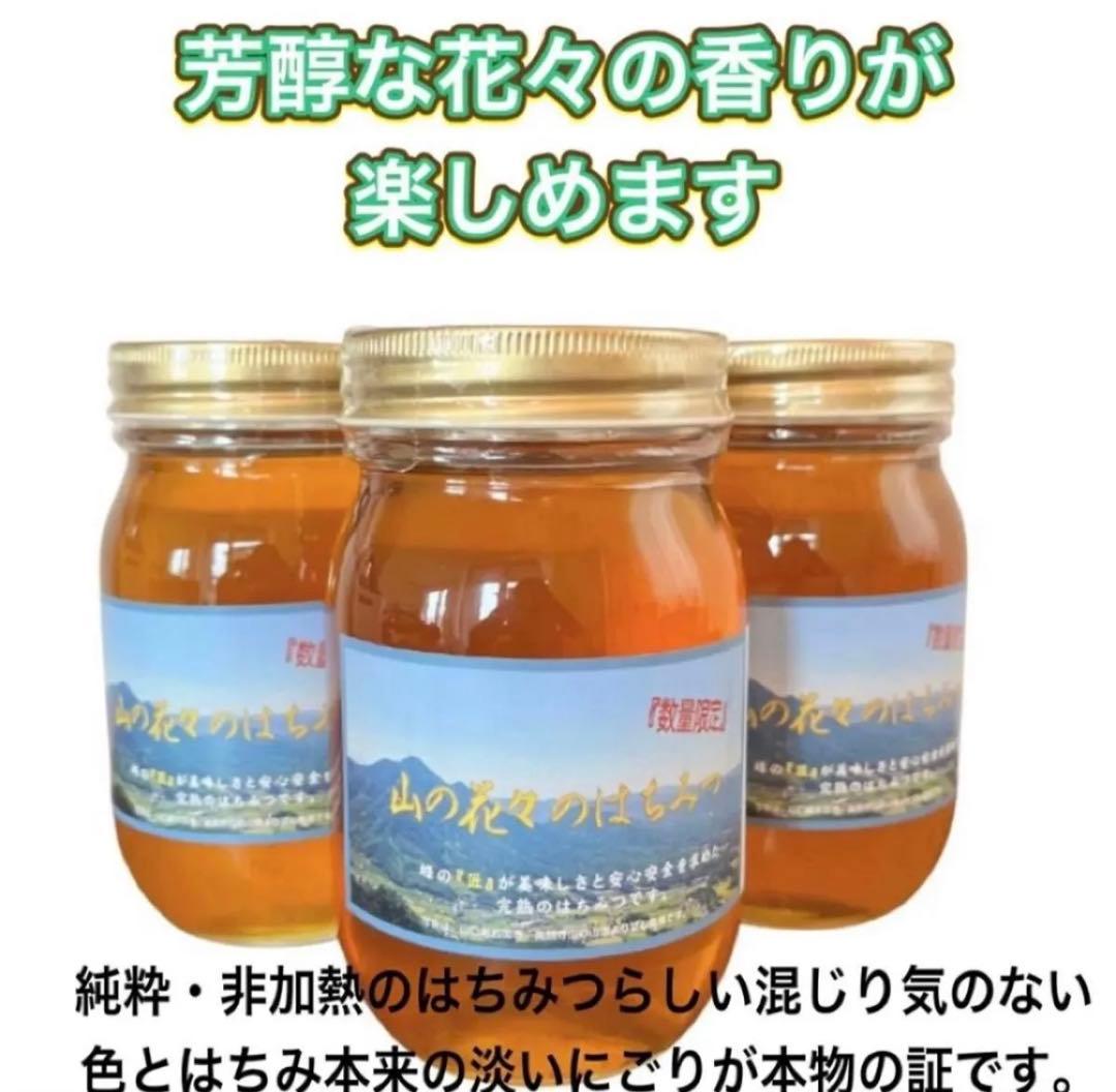 純粋生はちみつ　国産非加熱　600g ×3個　即購入OK