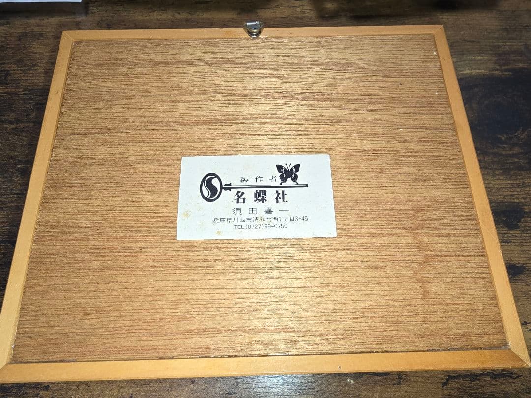 メネラウスモルフォ　蝶　昆虫標本　ビンテージ