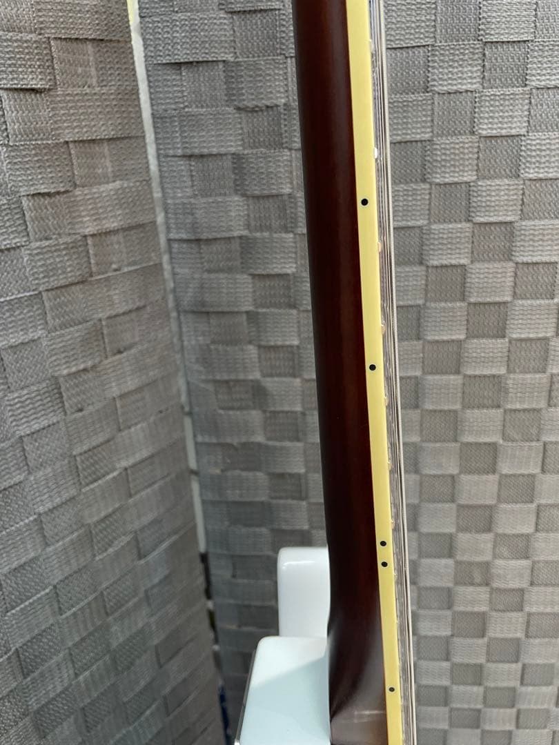 Bacchus BARON-STD/WH P90タイプピックアップ ケース付