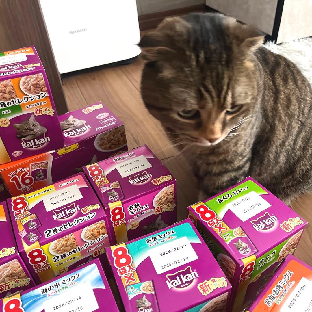 kalkan キャットフード パウチ 色んな味✨️70g×136袋 ゼリー仕立て