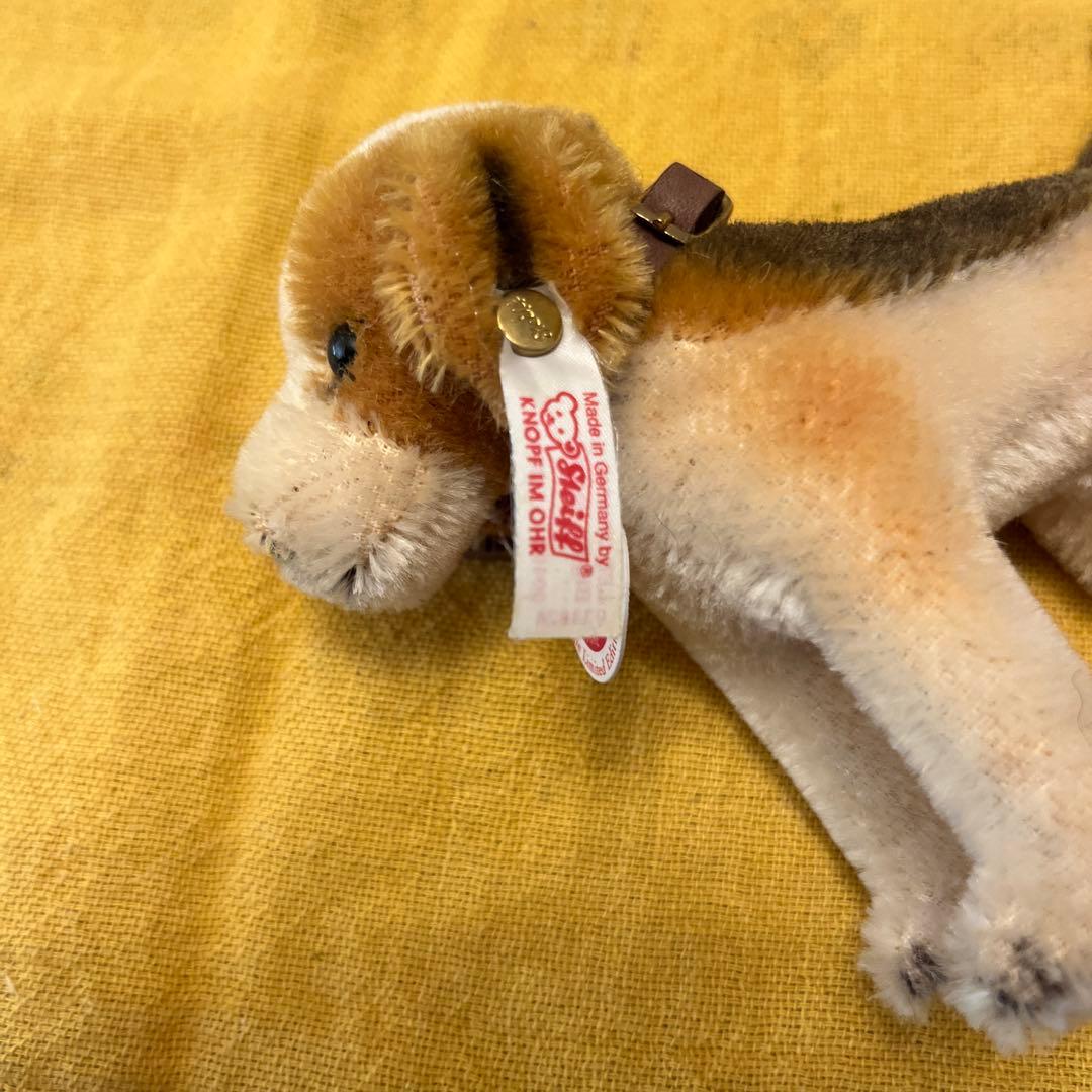 Steiff ビーグル犬のビギー　限定版 約15cm