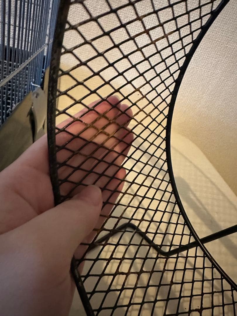 ✳︎土日限定価格✳︎サンコー イージーホーム メタルサイレント デグー セット