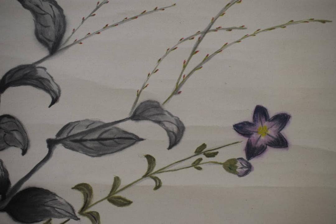 不詳/作者不詳/桔梗画賛/秋風や・・・/横物/花/布袋屋掛軸HK-34