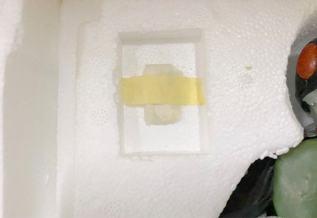 レインボー企画　仮面ライダー2号　一文字隼人　佐々木剛　1/5 フィギュア