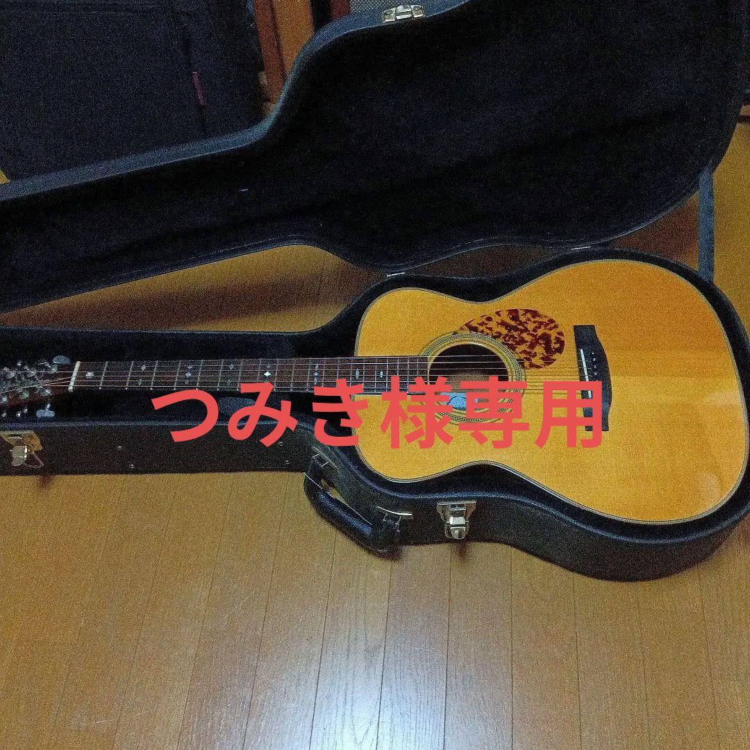 ヘッドウェイト HC F-500M アコースティックギター