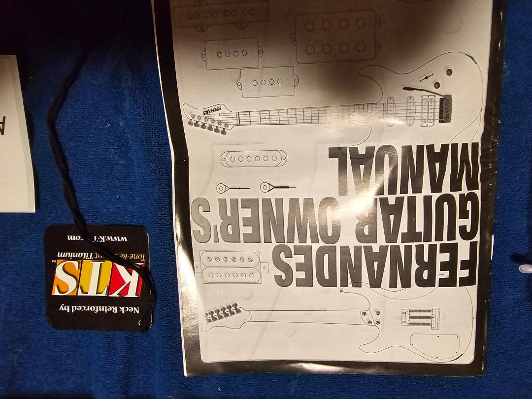 ギター FERNANDES APG-DLX JPC 2011 N