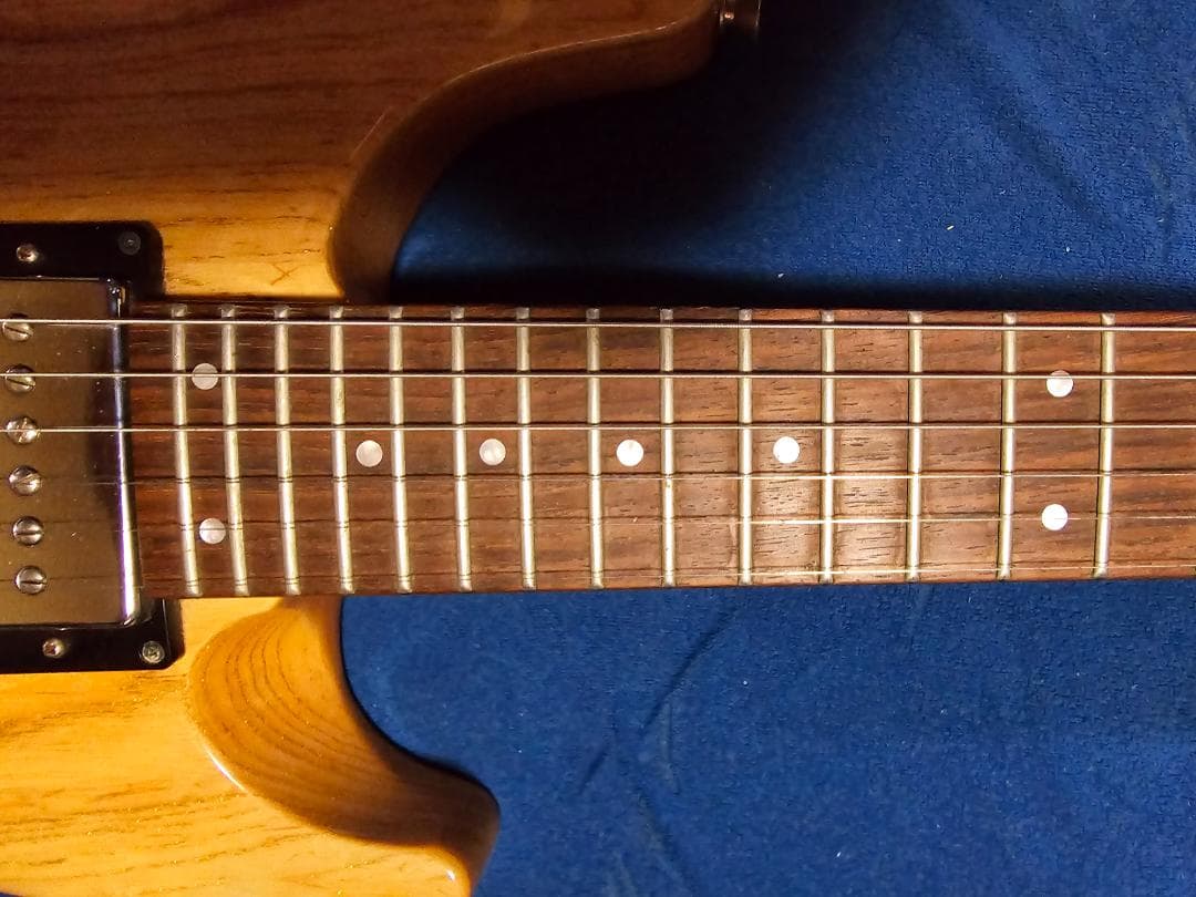 ギター FERNANDES APG-DLX JPC 2011 N