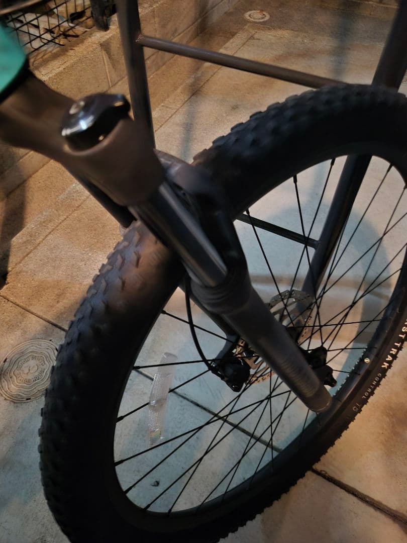 ROCKHOPPER EXPERT29インチ　Mサイズ⚠️説明欄⚠️引き取り限定