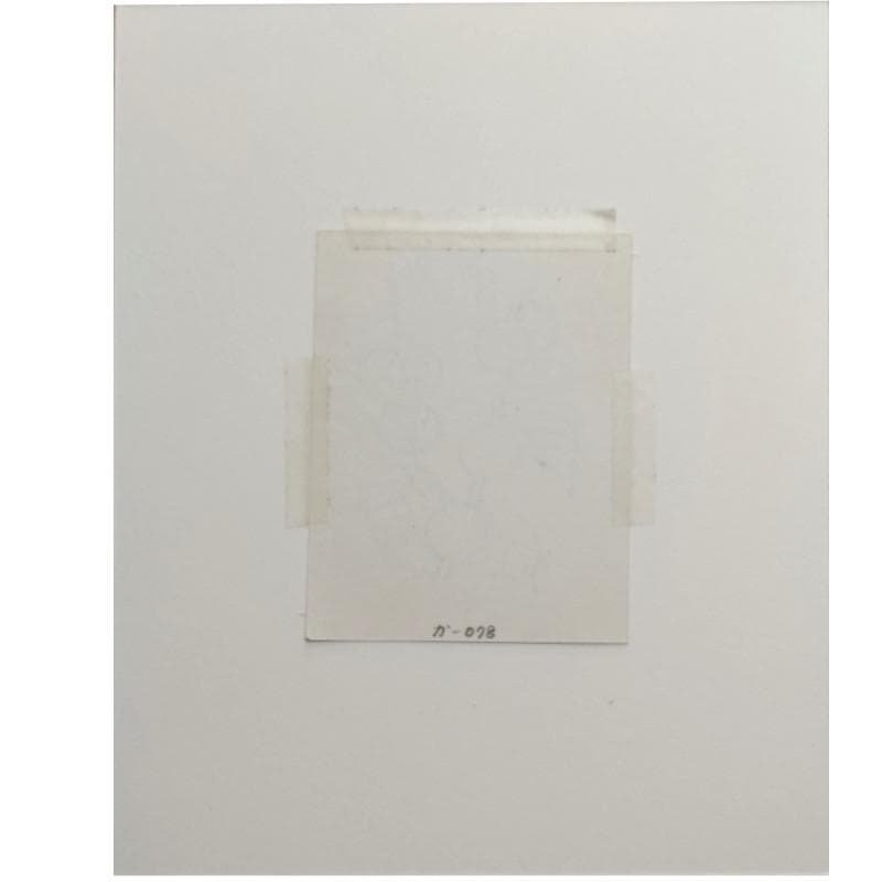 ☆坂本直行☆「白雲木」ペン画　インチサイズ